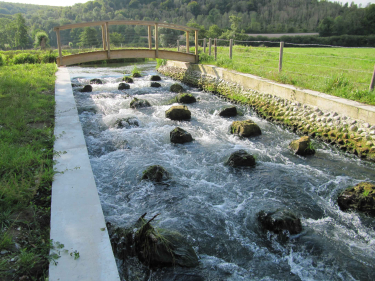Renaturation des milieux aquatiques et biodiversité