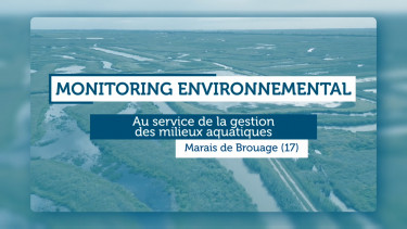 Plateforme web de monitoring environnemental pour le Syndicat Mixte de la Charente Aval