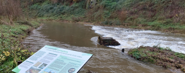 Effacement de barrages et restauration de la continuité écologique d'une vallée