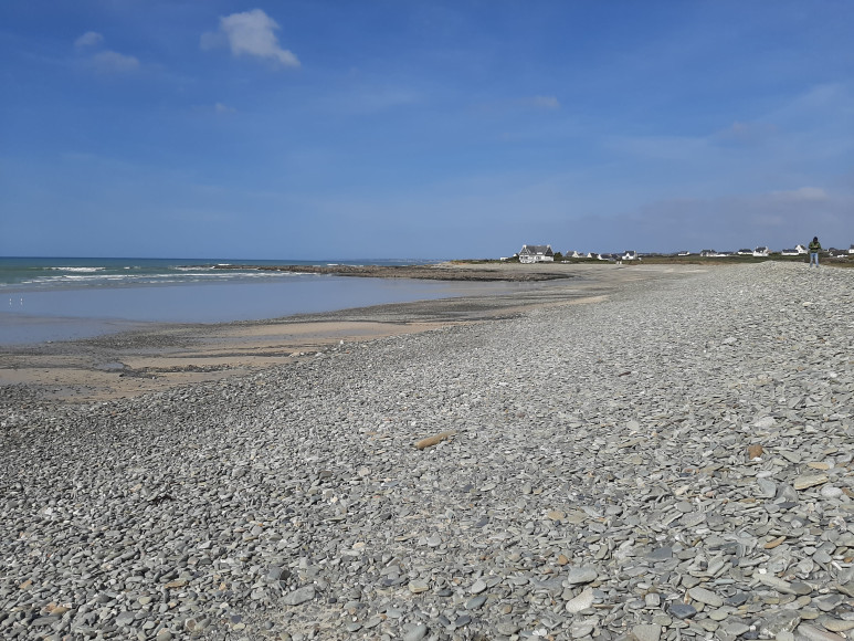 Renaturation du cordon littoral à Plozévet (29)