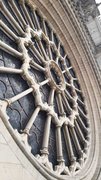 Conservation et restauration de la cathédrale Notre-Dame de Paris - décontamination plomb