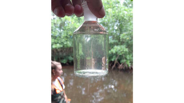 Timeline slide