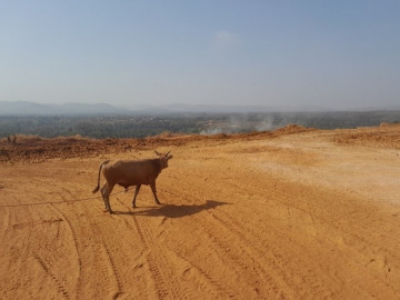 Etude d'impact environnemental et social de 4 nouveaux Centres Hospitaliers Régionaux en Guinée