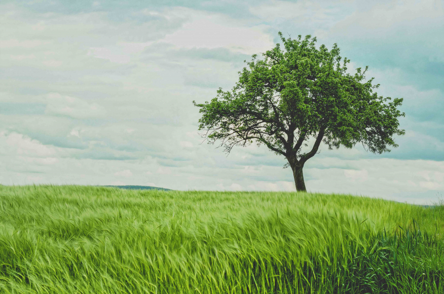 Métier ENVIRONNEMENT - salon Meet'ingé 2021