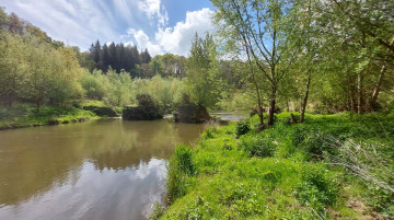 Effacement de barrages et restauration de la continuité écologique d'une vallée