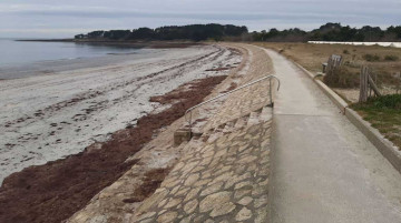 Diagnostic approfondi de digues maritimes à Sarzeau et Le Tour-du-Parc
