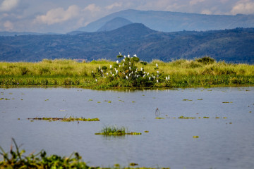 Sécuriser l’approvisionnement en eau sur le continent africain