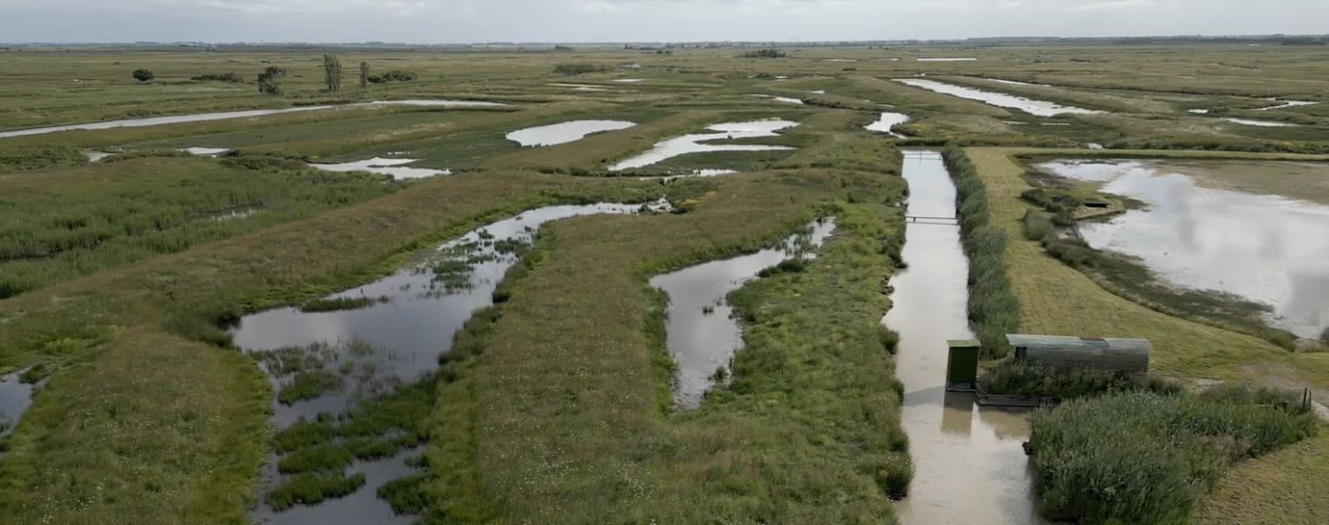 Suivi en temps réel des niveaux et débits d’eau dans les bassins-versants gérés par le Syndicat Mixte de la Charente Aval