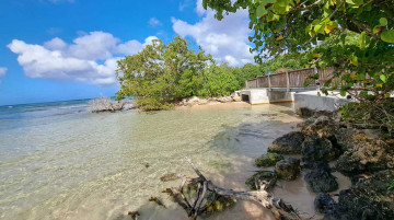 Comprendre, préserver et mettre en valeur les zones humides de Port-Louis en Guadeloupe