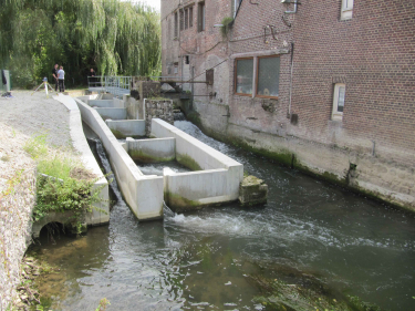 Renaturation des milieux aquatiques et biodiversité