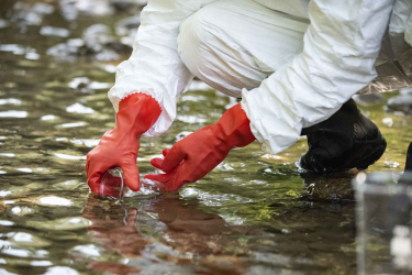 Gestion intégrée et réutilisation durable des ressources en eau