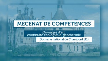 Mécénat de compétences : ouvrages d'art, continuité écologique, géothermie - Domaine national de Chambord (41)