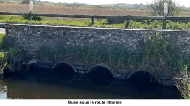 Retrouver un fonctionnement naturel du cordon littoral