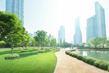 Aménagement urbain : approche multimétier