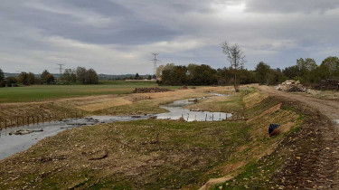 Biodiversité & génie écologique : intégrer les enjeux écologiques au cœur des projets