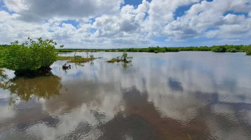 Comprendre, préserver et mettre en valeur les zones humides de Port-Louis en Guadeloupe