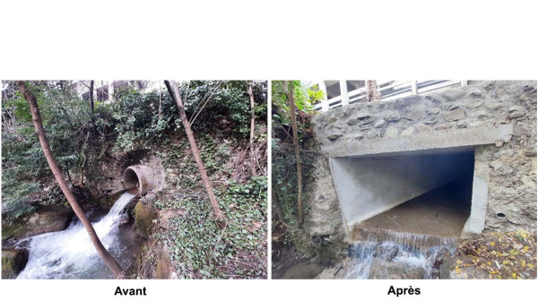 Maîtriser les écoulements des eaux du Turrelet