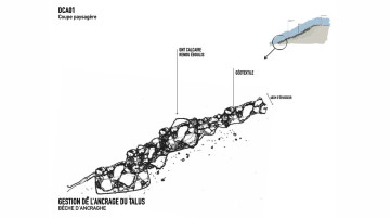 Réhabiliter un espace littoral exceptionnel