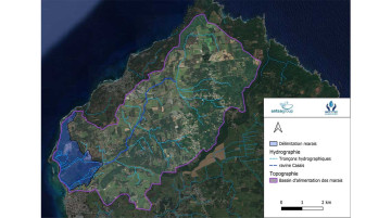 Comprendre, préserver et mettre en valeur les zones humides de Port-Louis en Guadeloupe