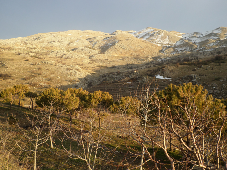 Gestion intégrée des ressources en eaux du Mont Liban