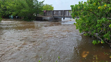 Comprendre, préserver et mettre en valeur les zones humides de Port-Louis en Guadeloupe