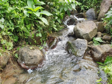 Caractériser et protéger la ressource en eau